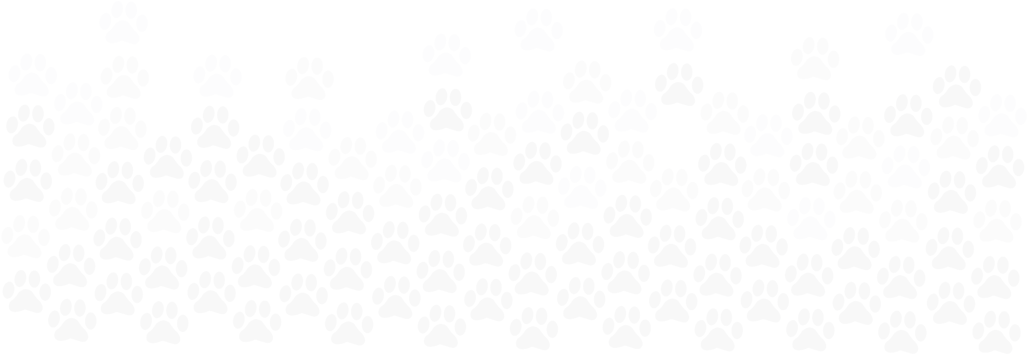 paw background