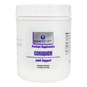 Conquerpowder