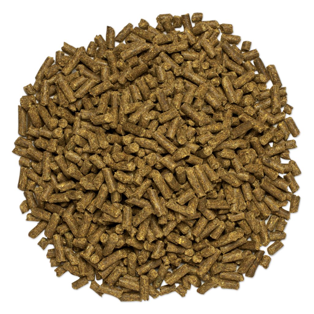25595 Turmeric Pile
